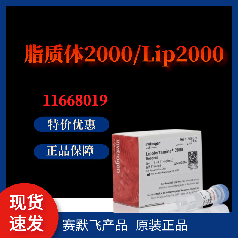 11668019*invitrogen*脂质体2000/Li