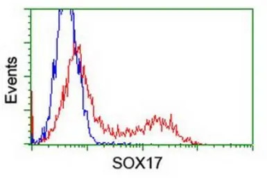 SOX17 antibody [3B10]