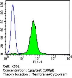 PDI antibody [RL90]