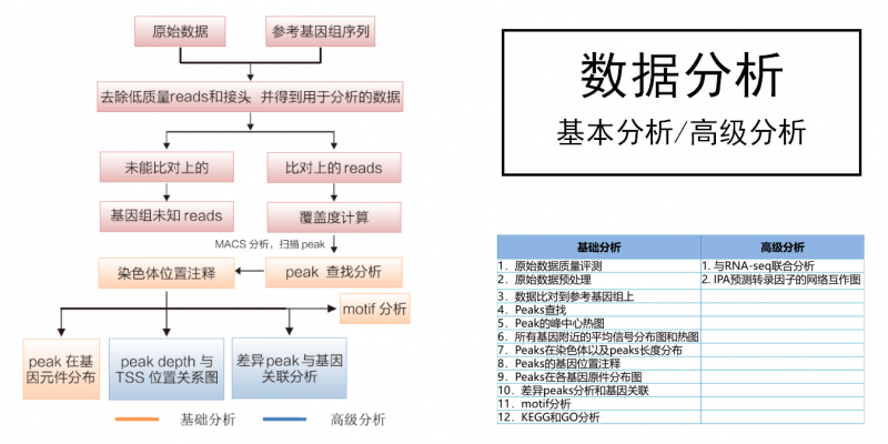 ATAC-seq 数据分析示例图