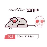 维通利华 CD-1(ICR)小鼠 IGS SPF级