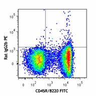 L138D7_PE_CXCR5_Antibody_FC_2_040213
