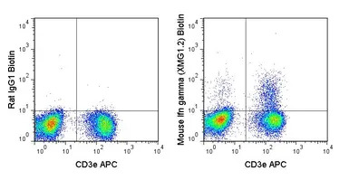 Interferon gamma antibody [XMG
