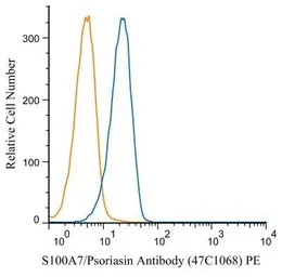 Psoriasin antibody [47C1068]