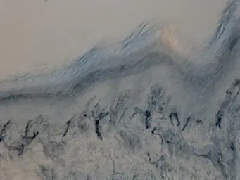 Tyrosine Hydroxylase antibody