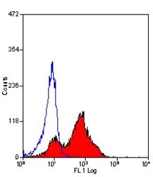CD26 antibody [H207-1082]