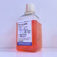 国产RPMI 1640培养基