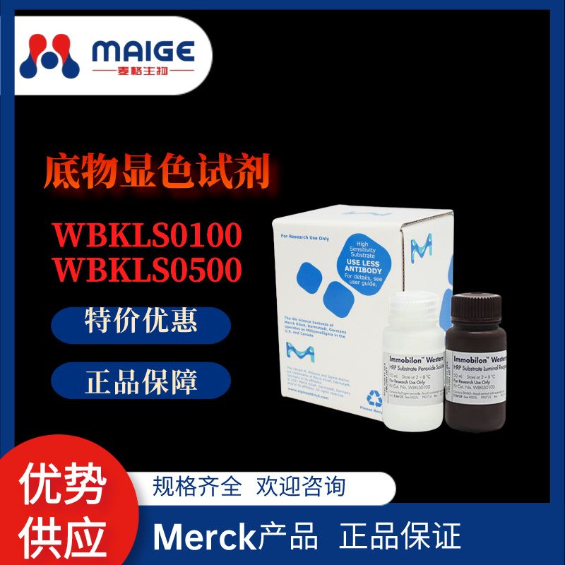 Millipore ：WBKLS0500-2 x 250 mL ECL化学发光底物