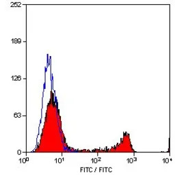 CD8 antibody [YTC182.20]