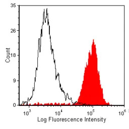 CD11b/c equivalent antibody [O
