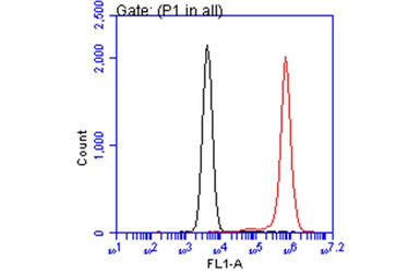 Annexin V antibody [N2C3]