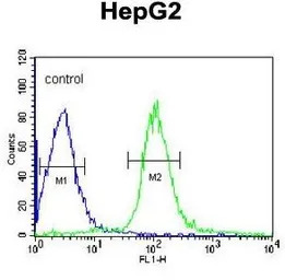 MGST2 antibody, C-term