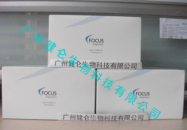 恙虫病荧光玻片