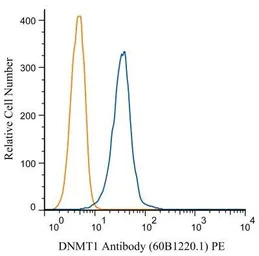 DNMT1 antibody [60B1220.1]