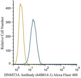 DNMT3A antibody [64B814.1]