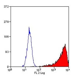M-CSF Receptor antibody [604B5