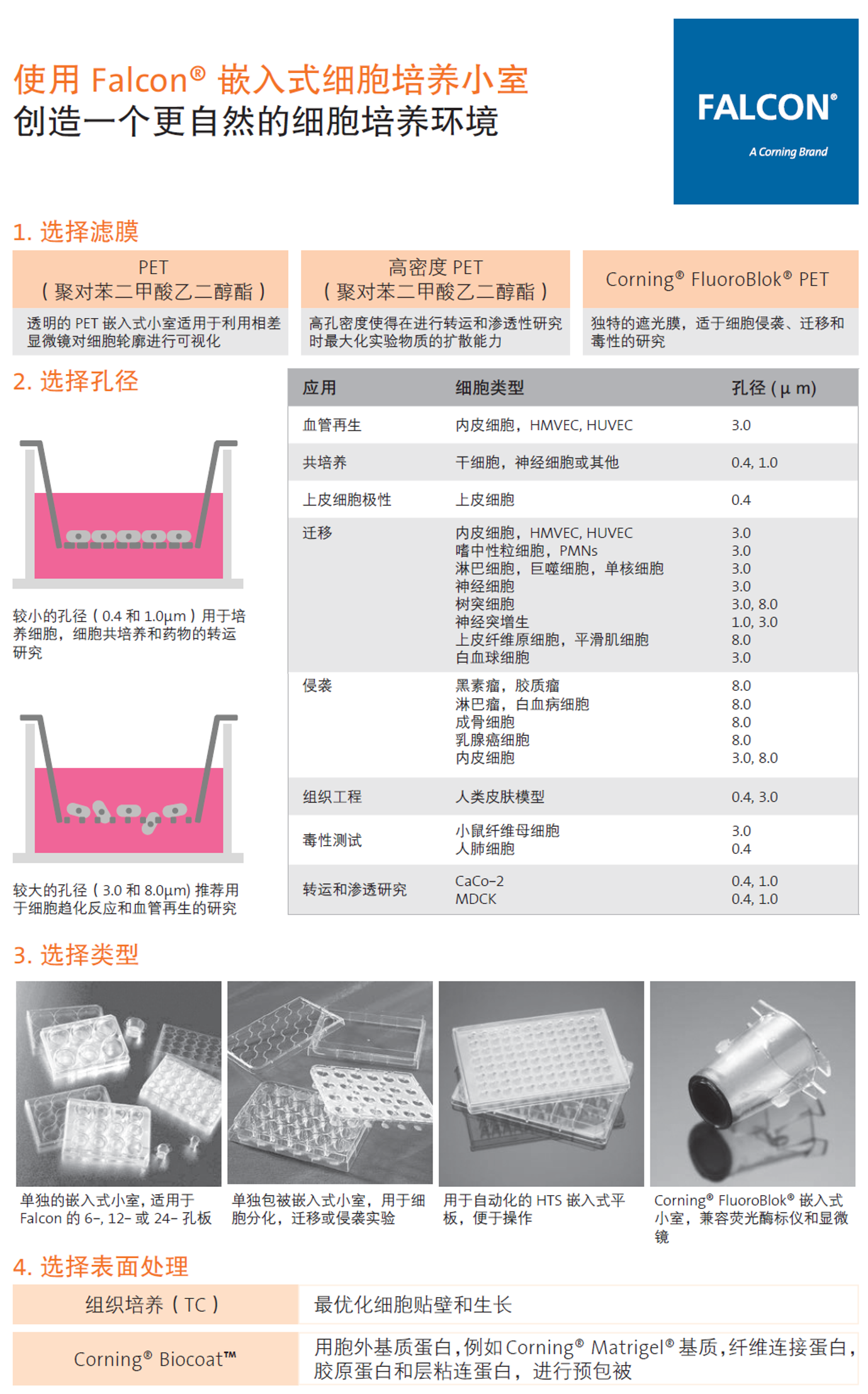 24孔板细胞培养小室半透明PET膜8um孔径Falcon细胞