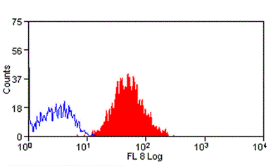 CD147 antibody [MEM-M6/1]