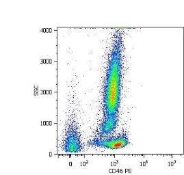 CD46 antibody [MEM-258]