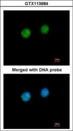 产品细节图片11