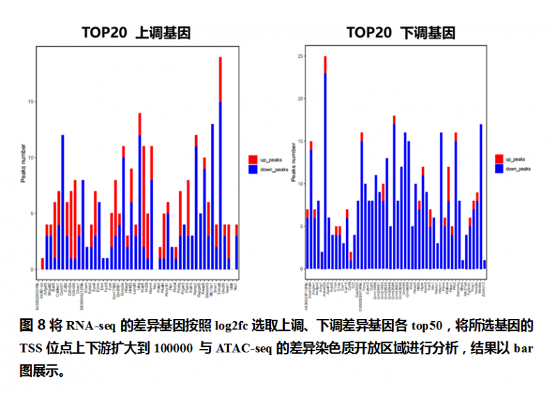ATAC-seq 数据分析示例图 6