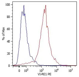 Vimentin antibody [VI-RE/1] (P