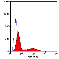 CD34 antibody [MEC14.7] (PE)