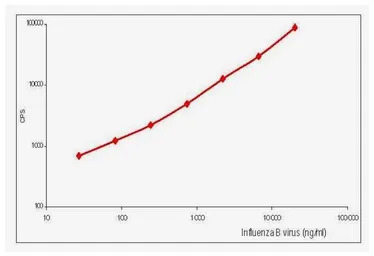 Influenza B virus Nucleoprotei