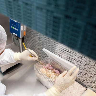 甲状腺及甲状旁腺切除手术