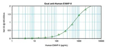 EMAP II antibody