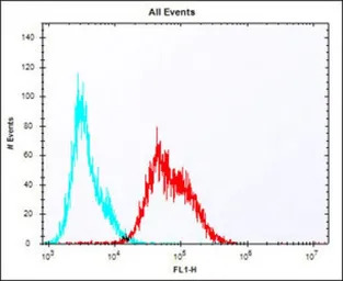 LAG3 antibody, Internal