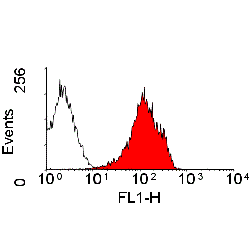 MHC Class I RT1A antibody [MRC
