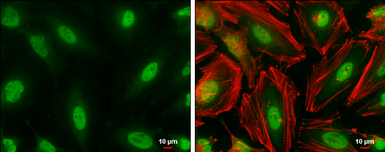 产品细节图片10