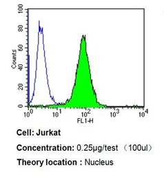 PPAR alpha antibody [3B6/PPAR]