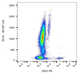 CD21 antibody [LT21] (PE)