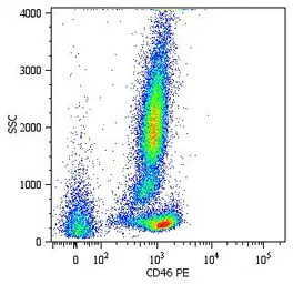 CD46 antibody [MEM-258] (PE)