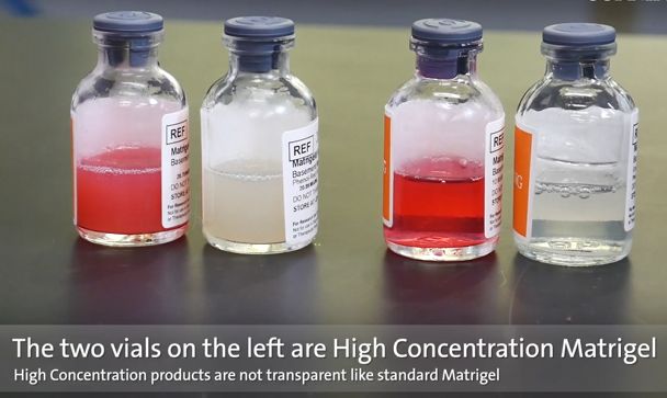 1565679739250998.jpg 6.jpg