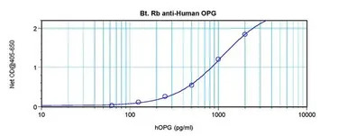 OPG antibody (Biotin)