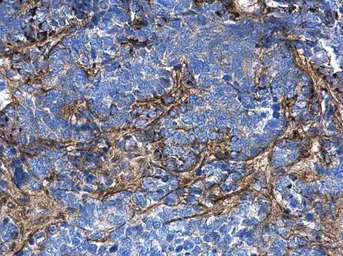 产品细节图片10