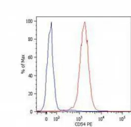 ICAM1 / CD54 antibody [1H4] (A