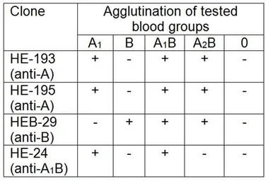 Blood Group A1B antigen antibo