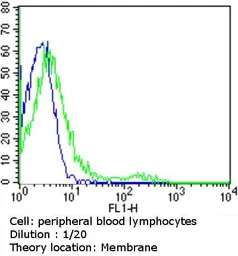 TCR V alpha 12.1 antibody [6D6