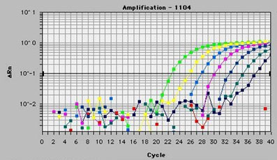 荧光定量试剂盒，SYRB GREEN