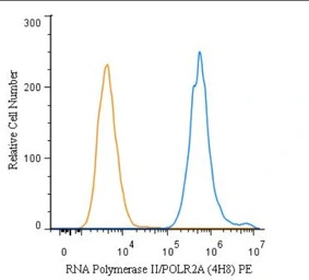 RPB1 antibody [4H8]