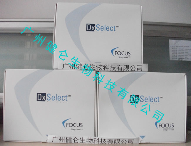 恙虫病荧光玻片