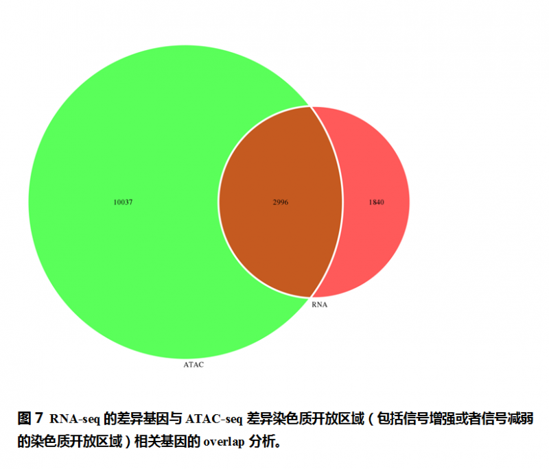 ATAC-seq 数据分析示例图 5