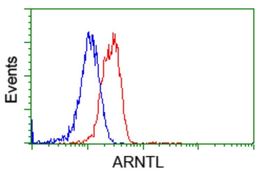 BMAL1 antibody [3G9]