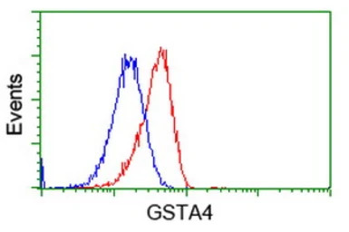 GSTA4 antibody [3F5]