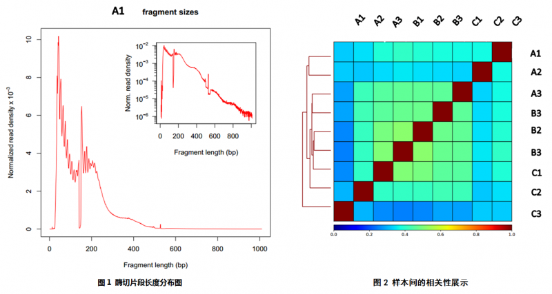 ATAC-seq 数据分析示例图 1