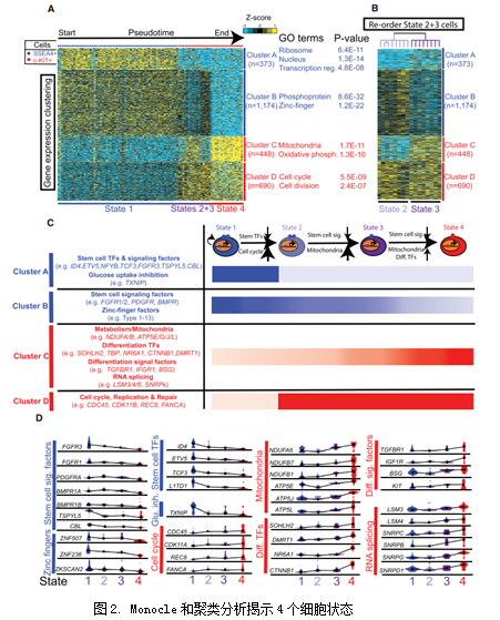 ATAC-seq 案例分析结果图 2